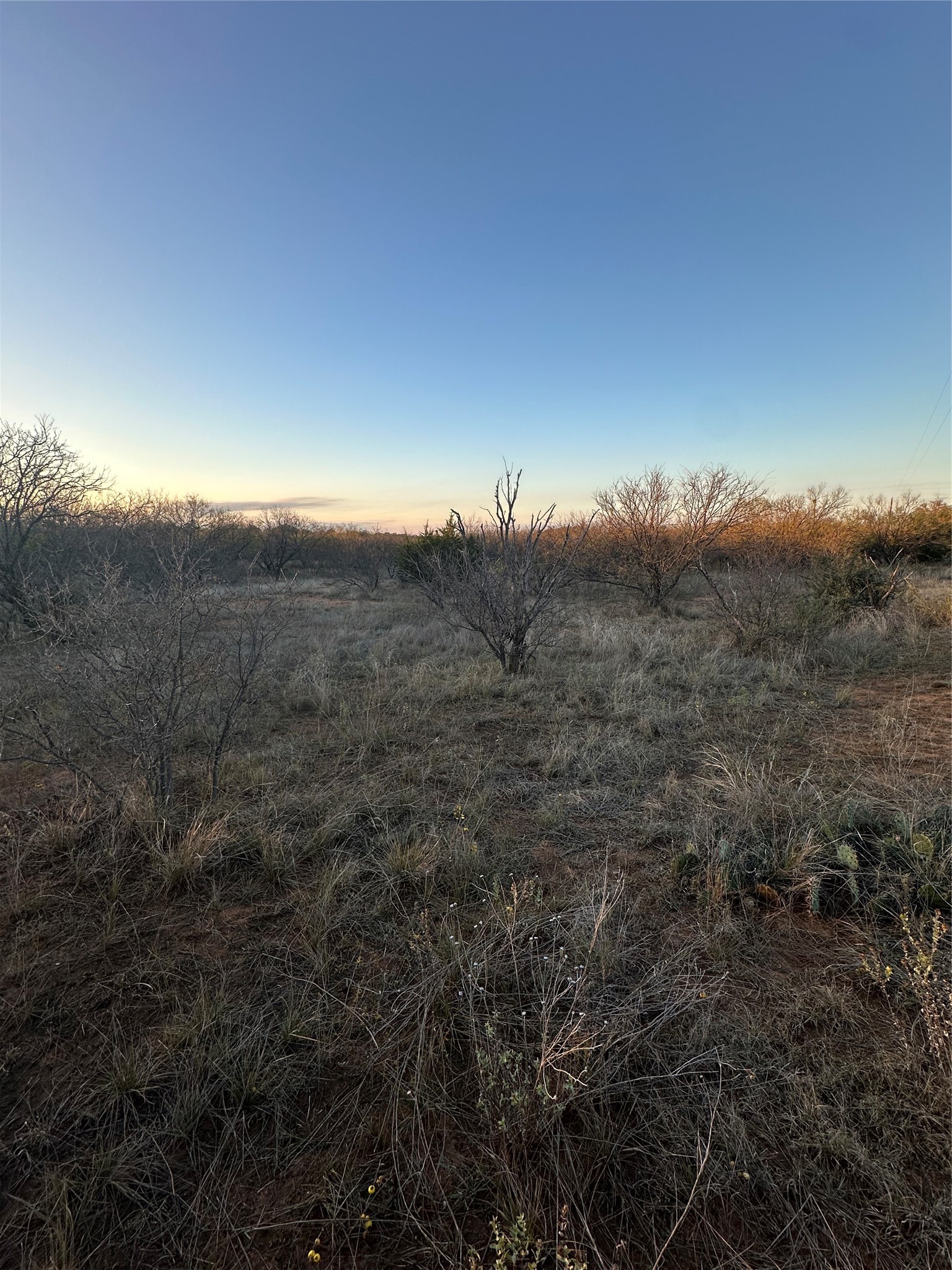 Tbd Thomas 80 Ranch Bangs TX 76823