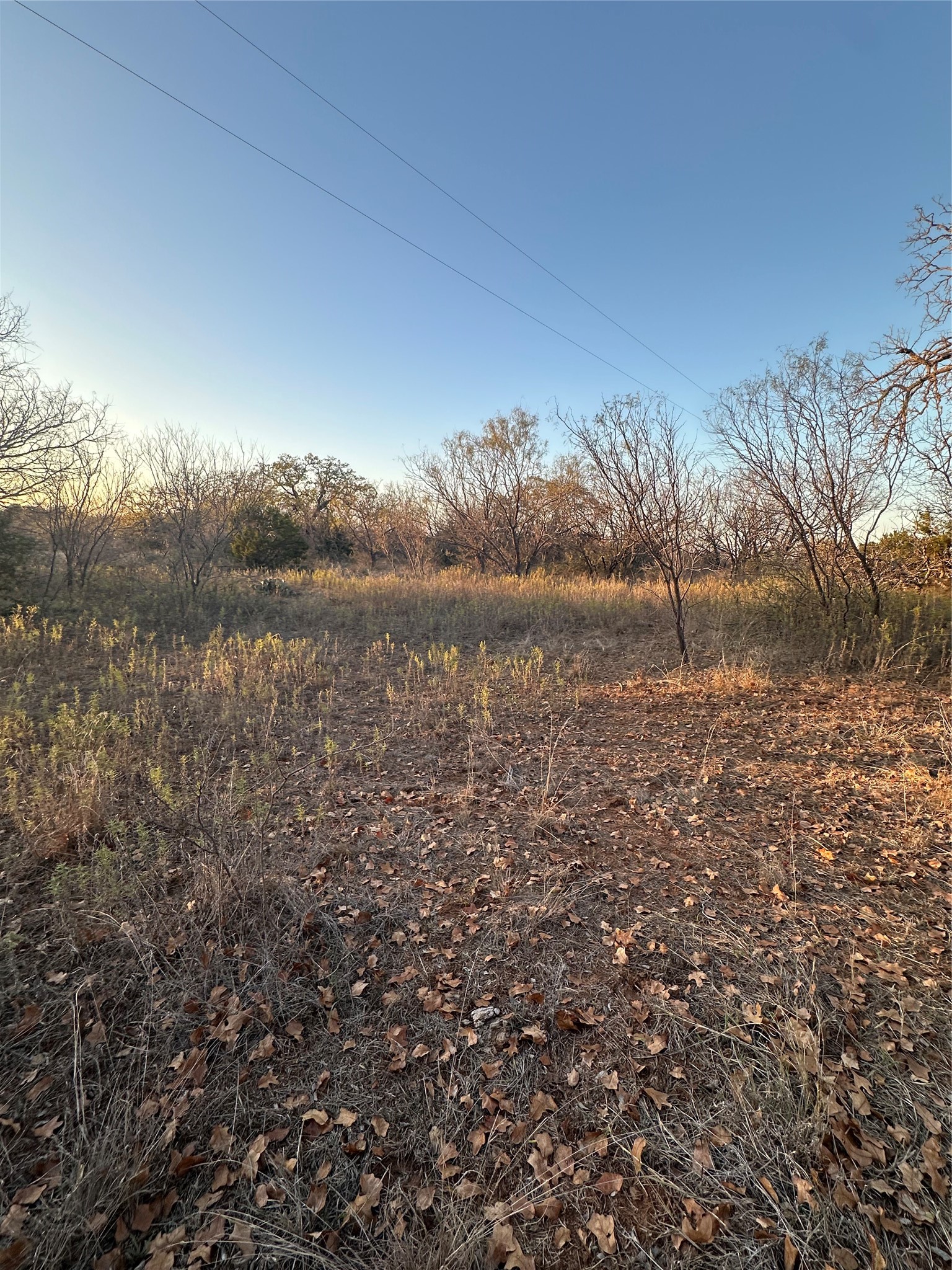 Tbd Thomas 80 Ranch Bangs TX 76823