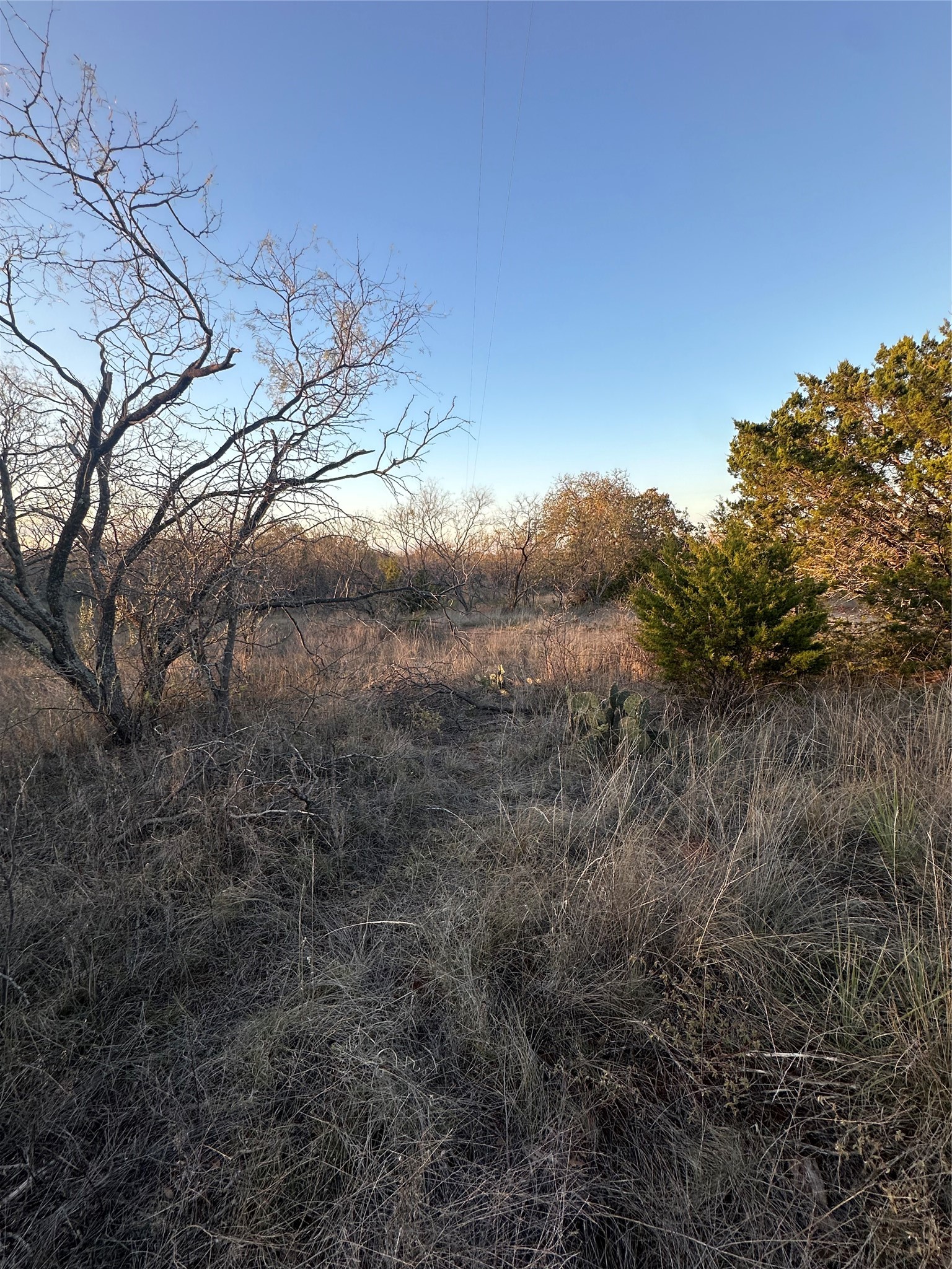 Tbd Thomas 80 Ranch Bangs TX 76823