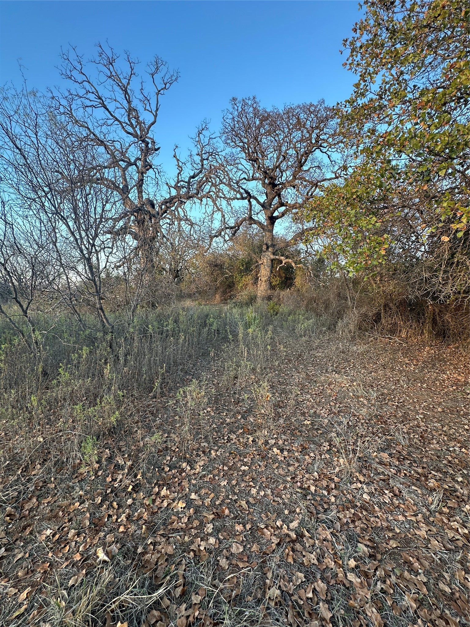 Tbd Thomas 80 Ranch Bangs TX 76823