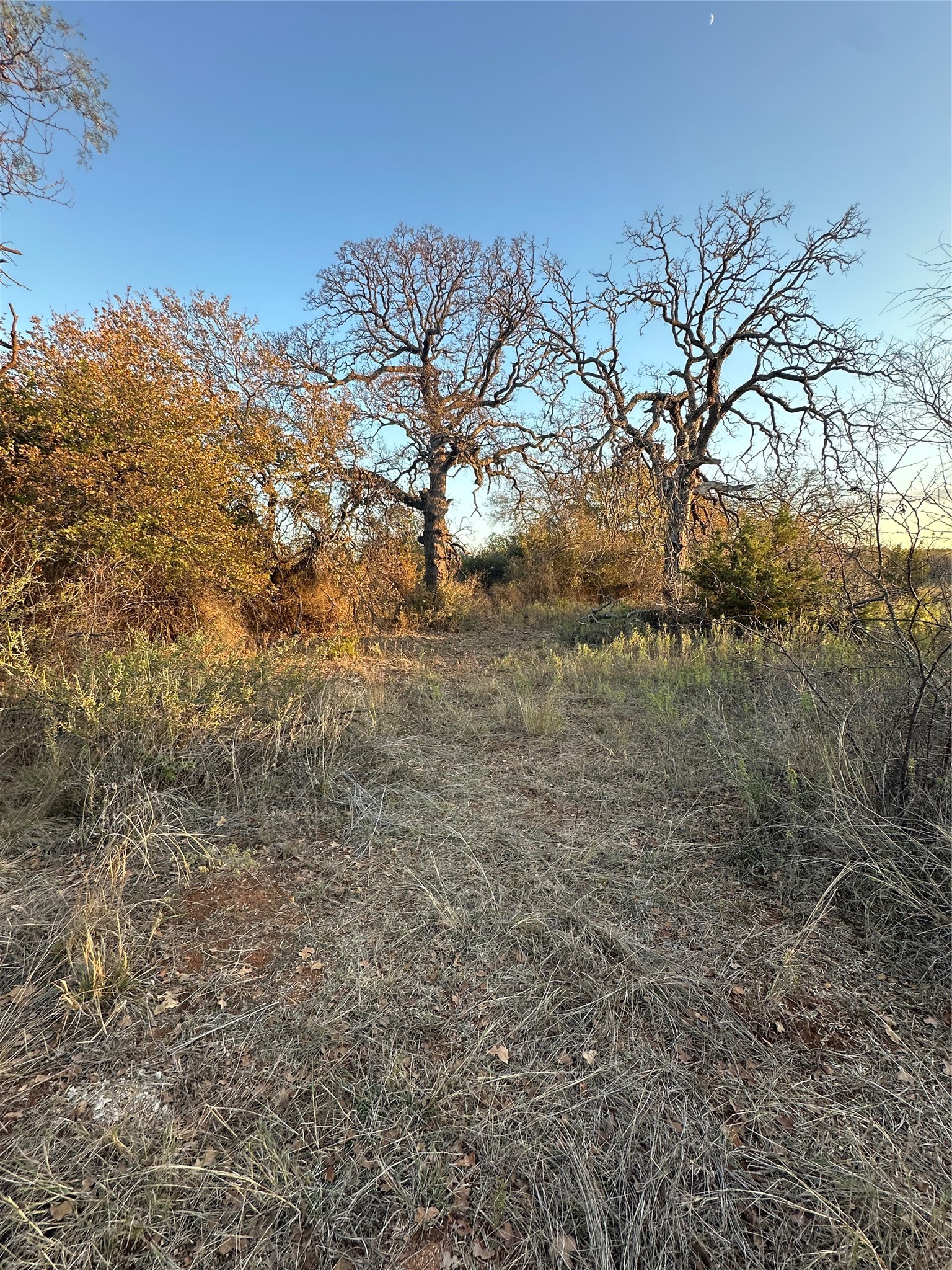 Tbd Thomas 80 Ranch Bangs TX 76823