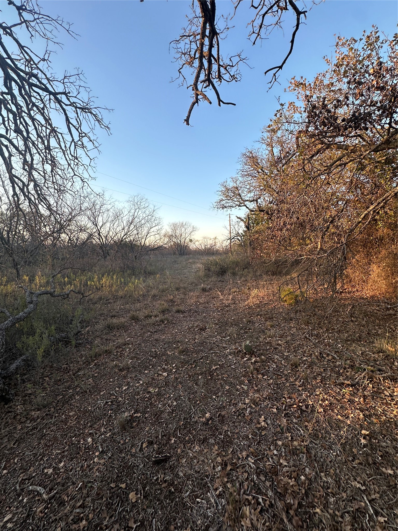 Tbd Thomas 80 Ranch Bangs TX 76823