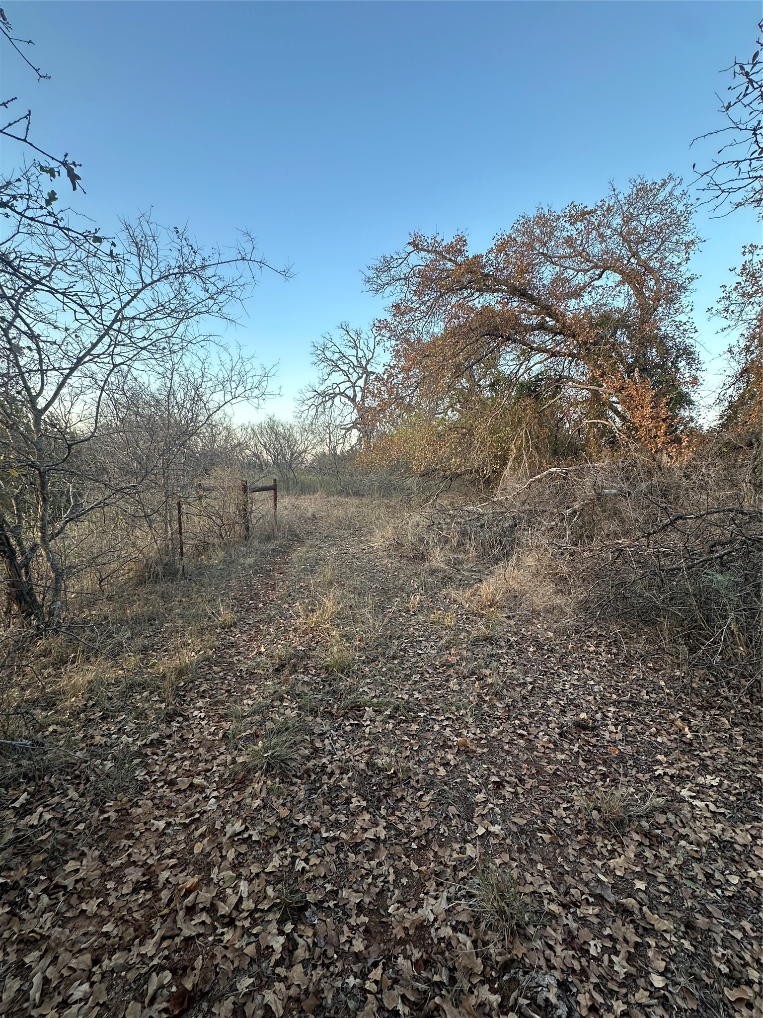Tbd Thomas 80 Ranch Bangs TX 76823