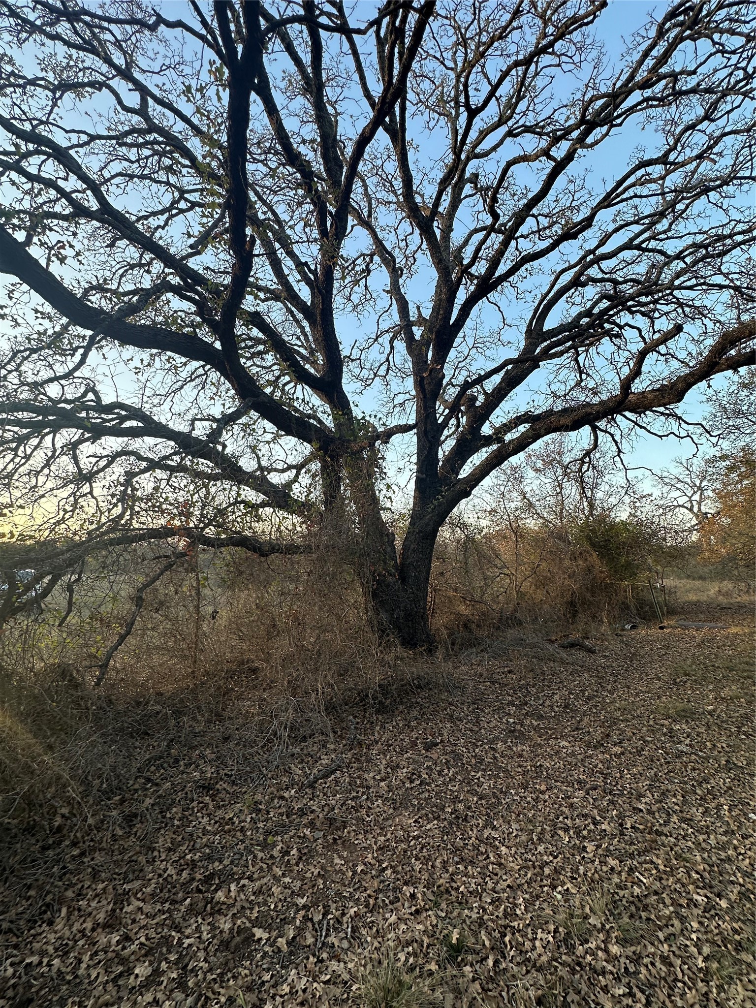 Tbd Thomas 80 Ranch Bangs TX 76823