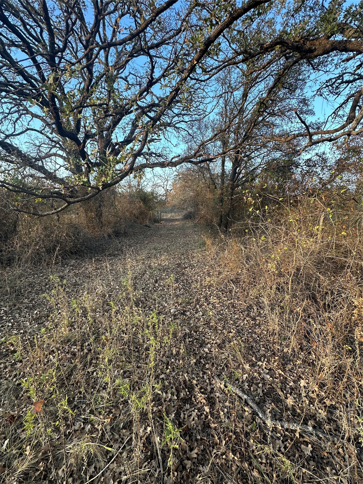 Tbd Thomas 80 Ranch Bangs TX 76823
