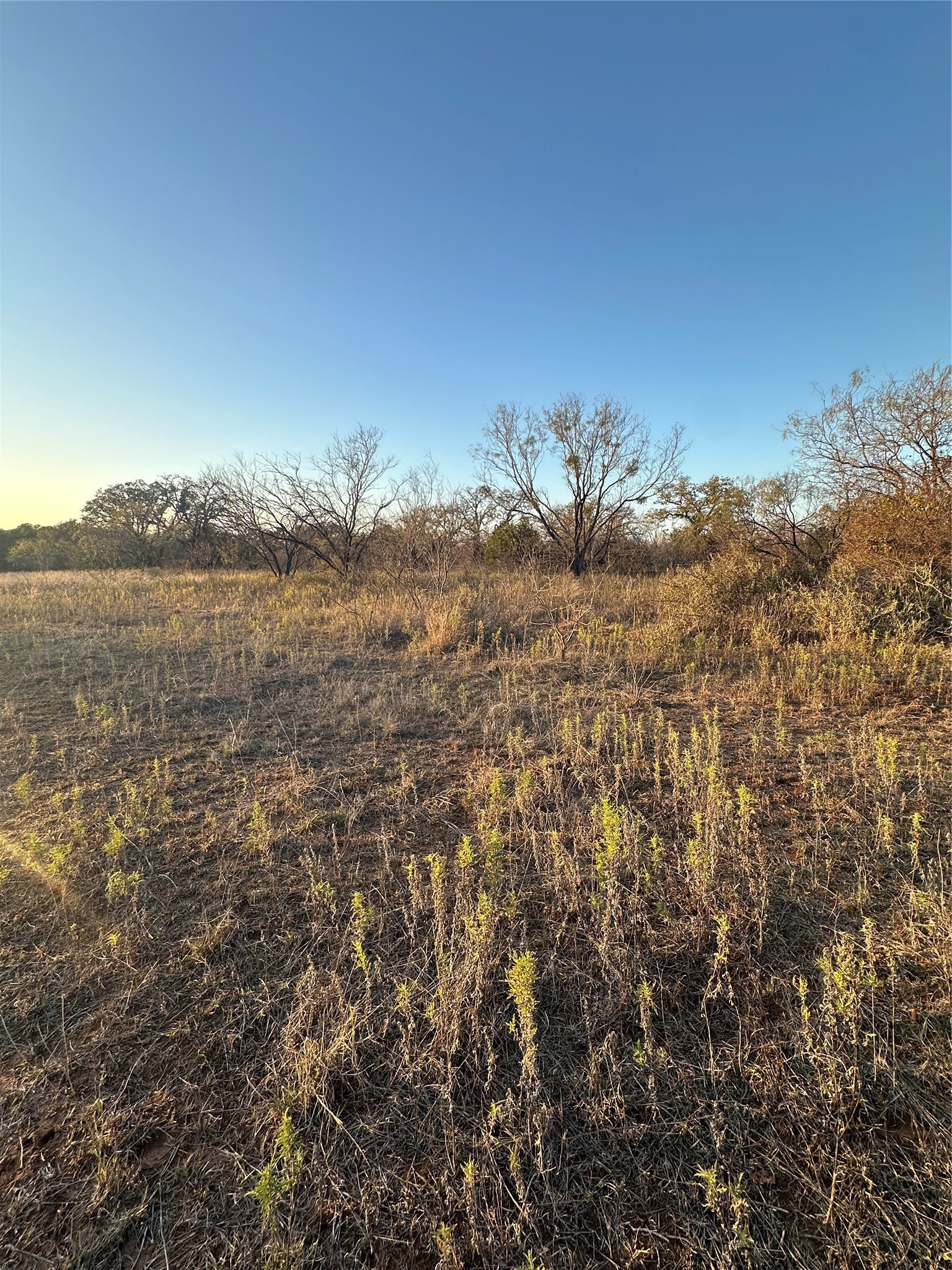 Tbd Thomas 80 Ranch Bangs TX 76823