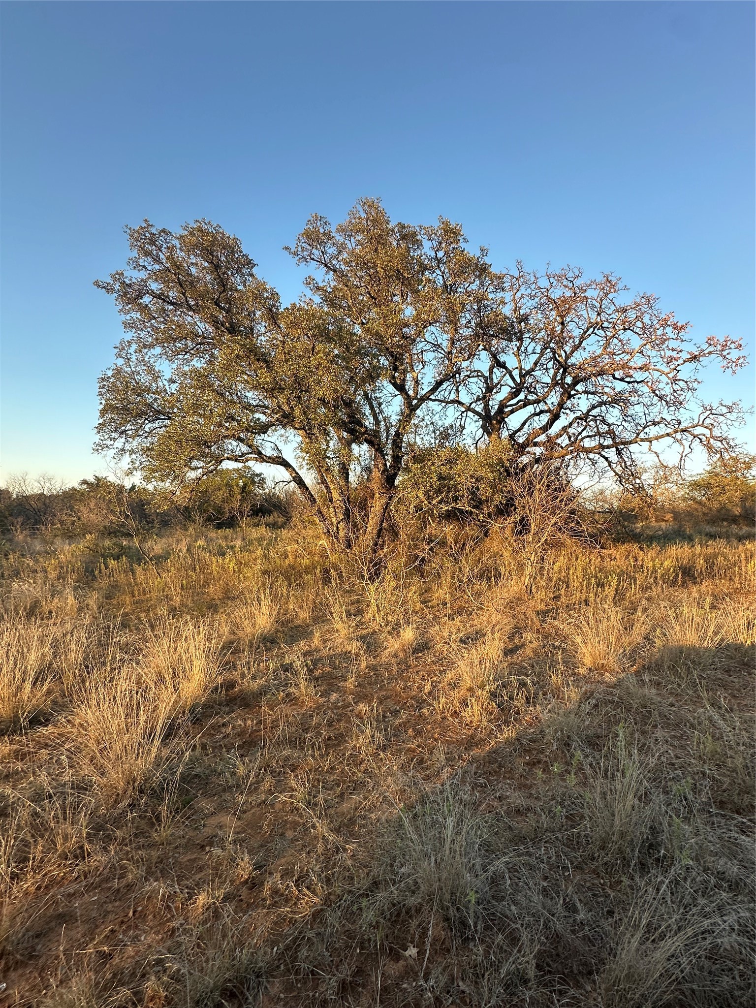 Tbd Thomas 80 Ranch Bangs TX 76823