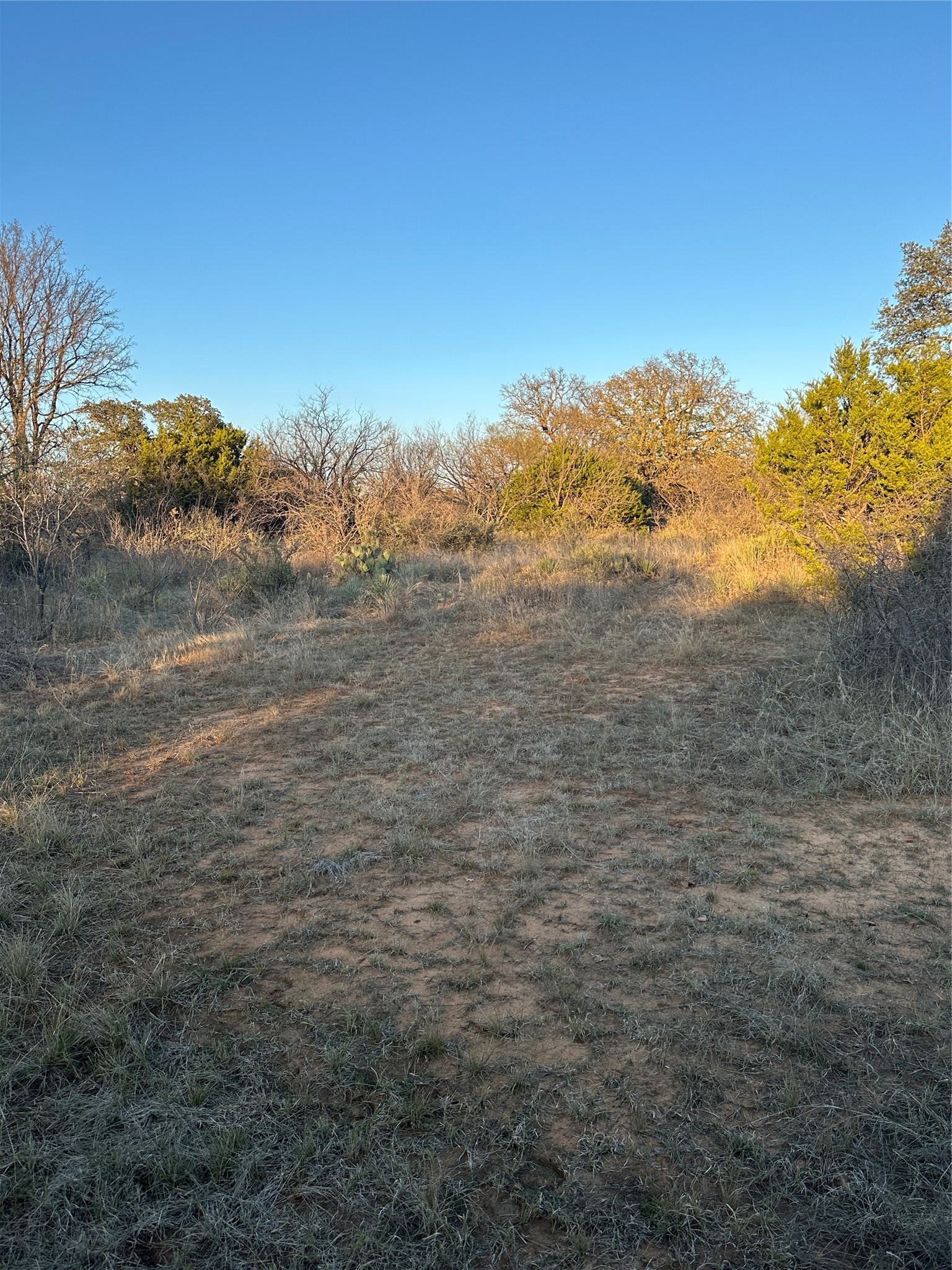 Tbd Thomas 80 Ranch Bangs TX 76823