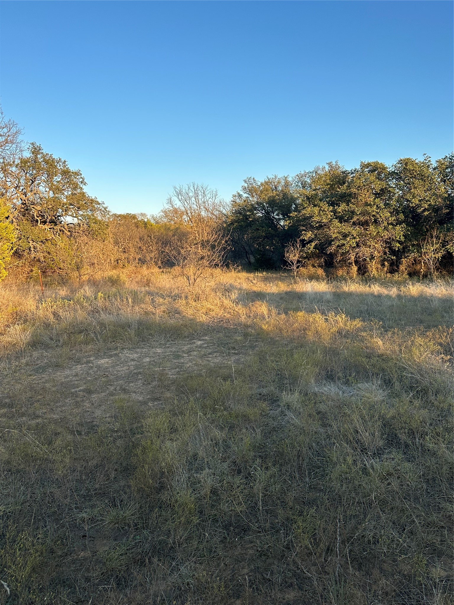 Tbd Thomas 80 Ranch Bangs TX 76823