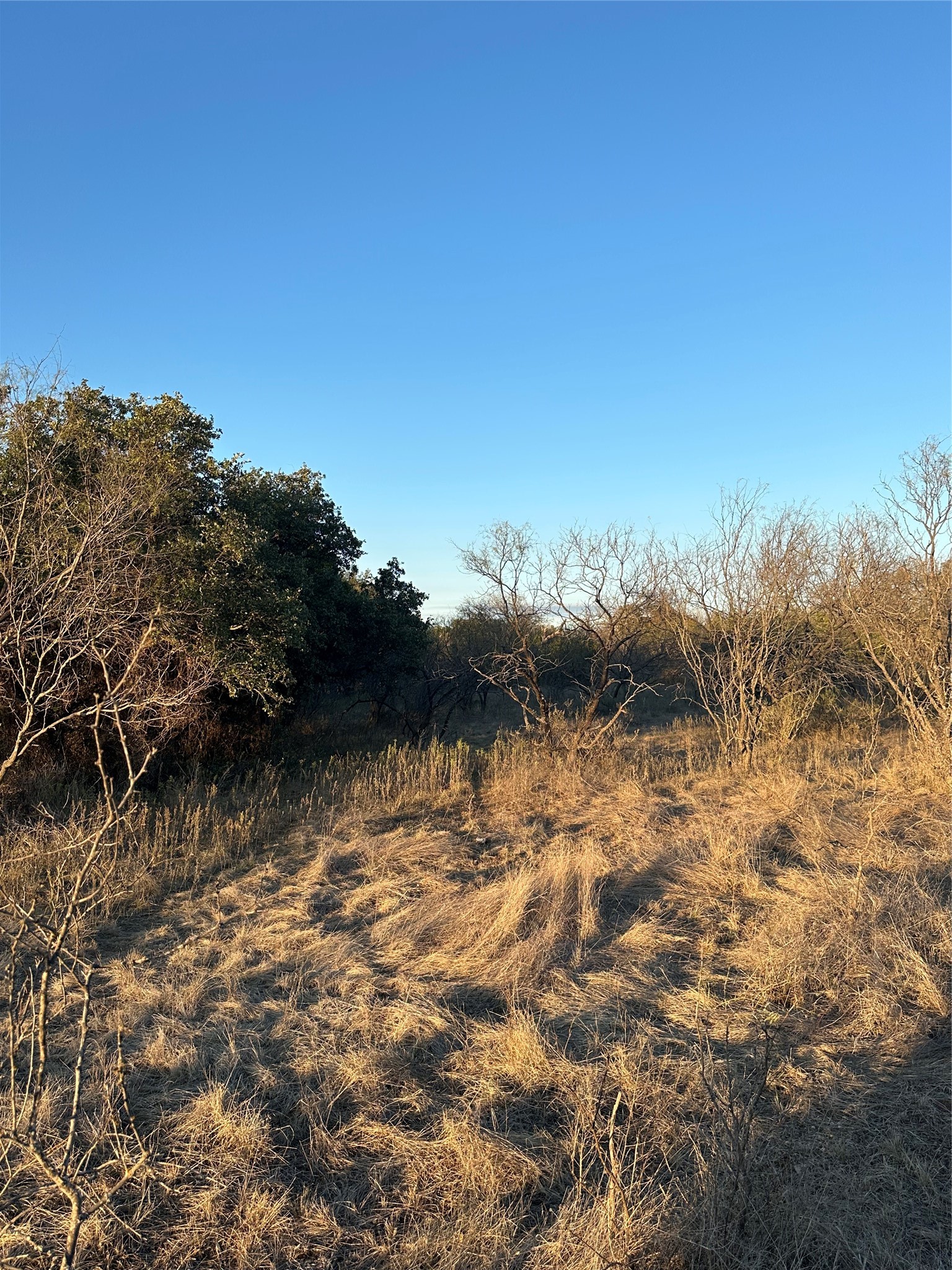 Tbd Thomas 80 Ranch Bangs TX 76823