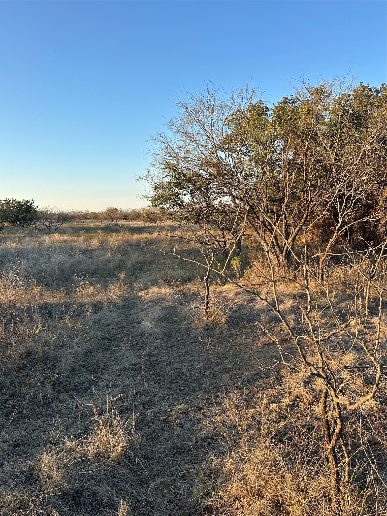 Tbd Thomas 80 Ranch Bangs TX 76823