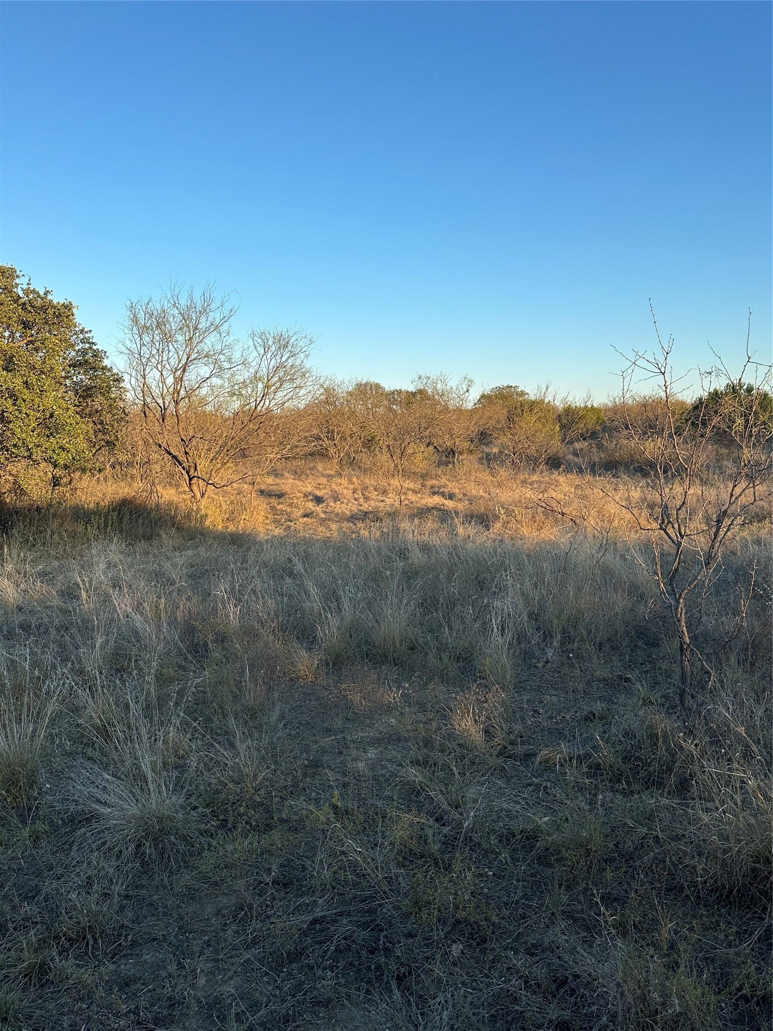 Tbd Thomas 80 Ranch Bangs TX 76823