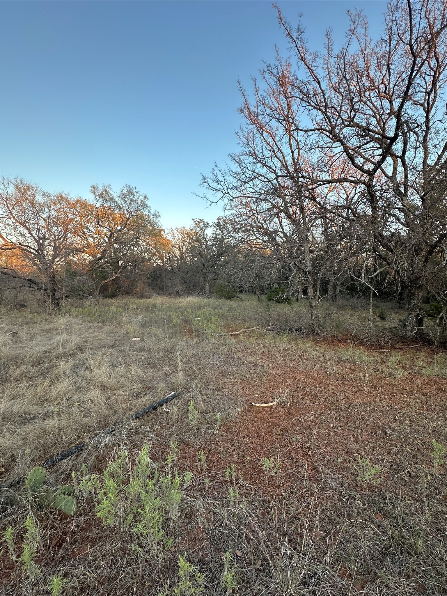 Tbd Thomas 80 Ranch Bangs TX 76823