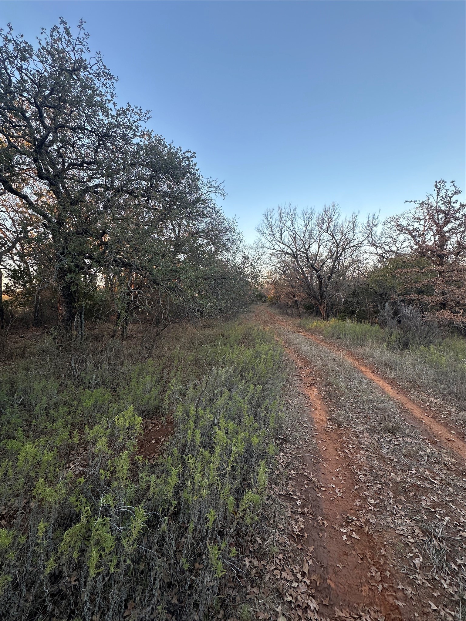 Tbd Thomas 80 Ranch Bangs TX 76823