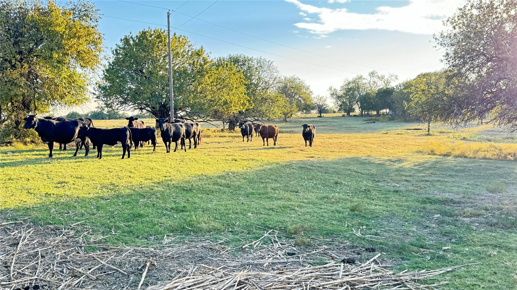 1258 County Road 352 Road Gainesville TX 76240