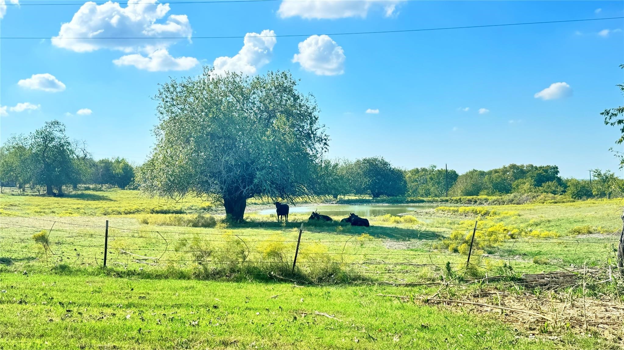 1258 County Road 352 Road Gainesville TX 76240