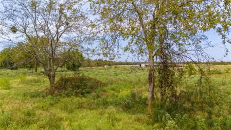 1987 Farm Road 900 N Saltillo TX 75478