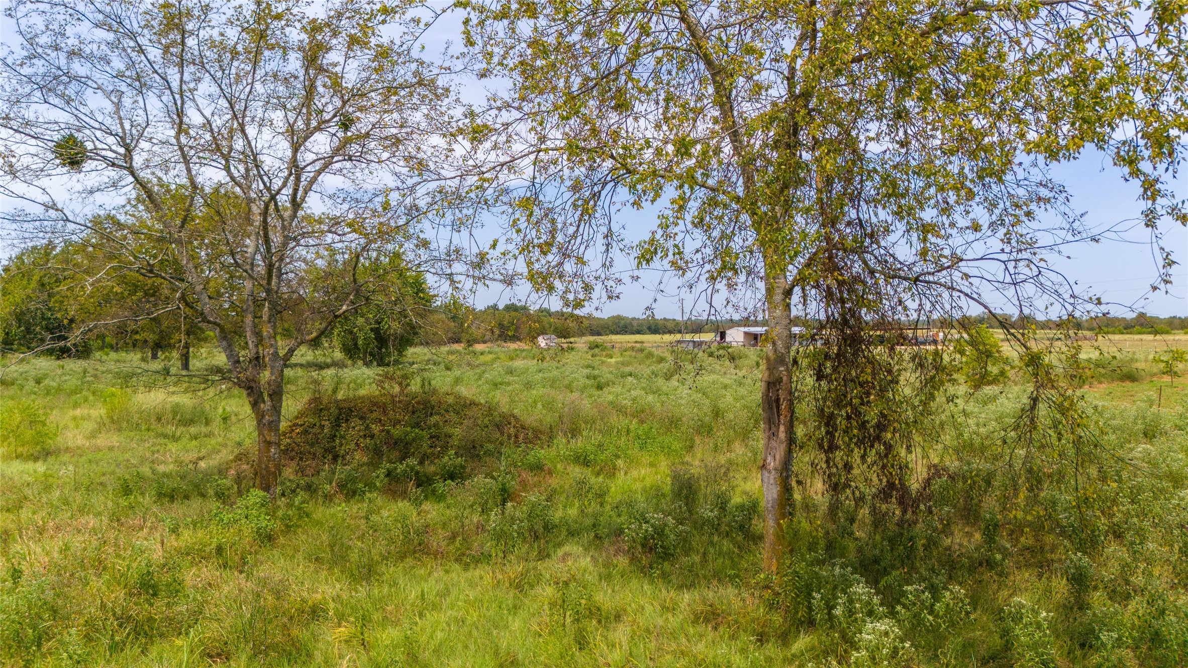 1987 Farm Road 900 N Saltillo TX 75478