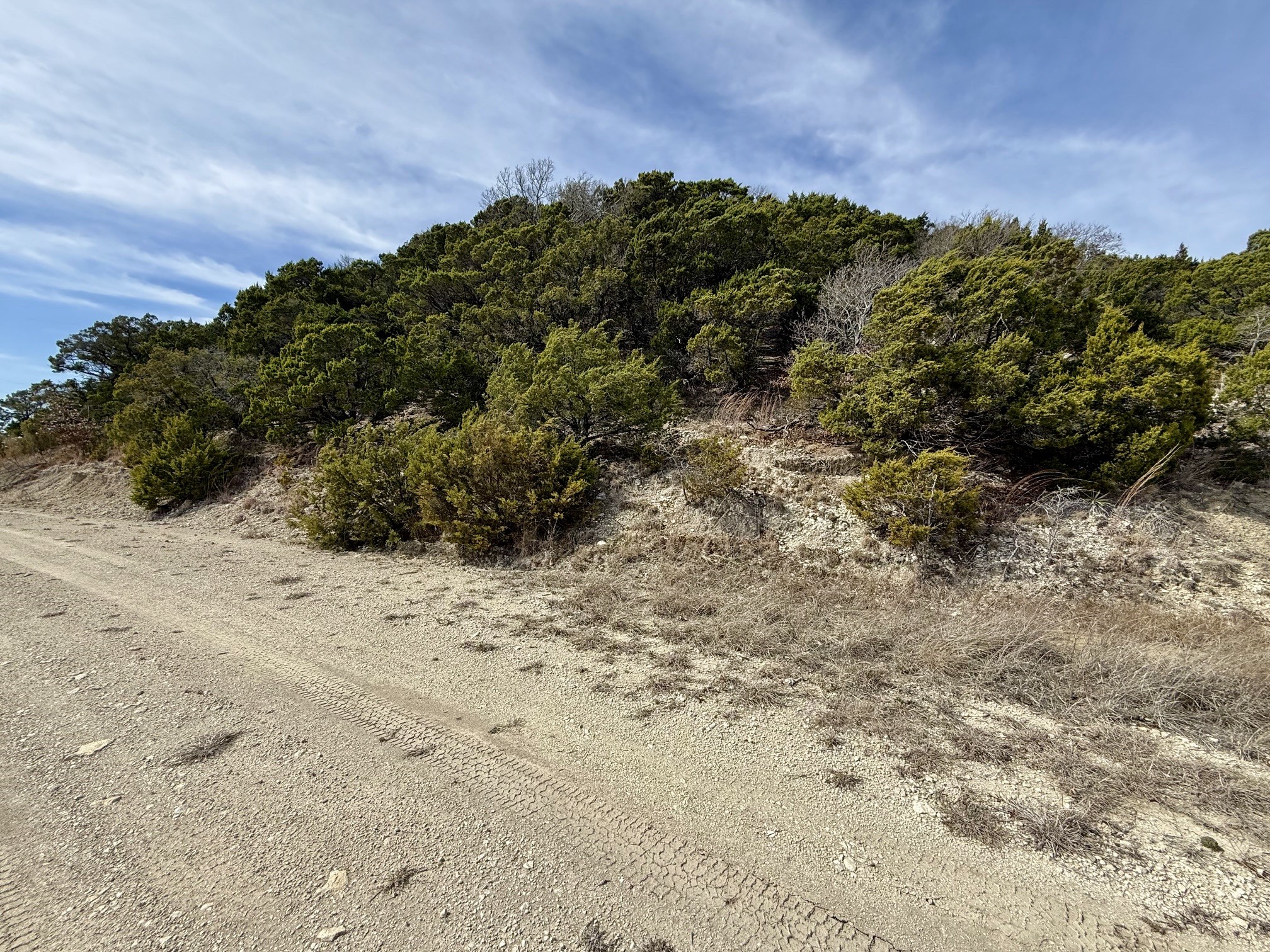 Lot 166 Private Road 16022 Jonesboro TX 76538