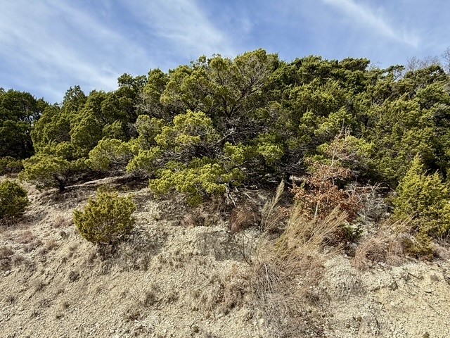 Lot 166 Private Road 16022 Jonesboro TX 76538