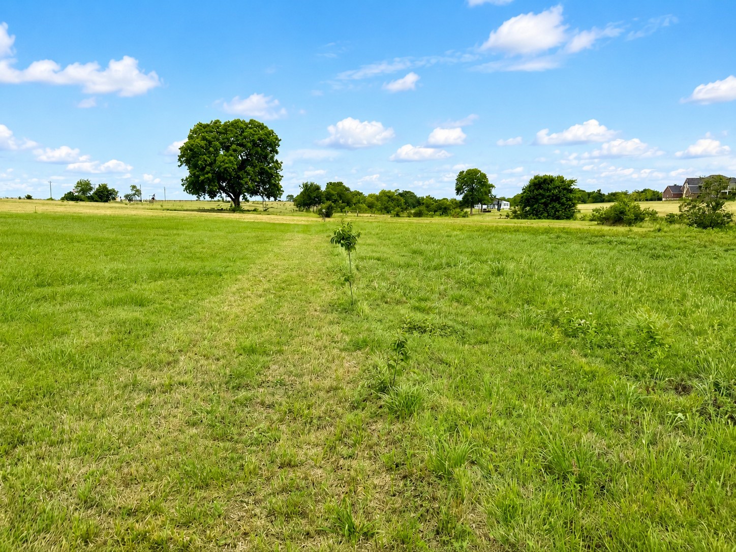 Lot 18 Chandler Drive Corsicana TX 75109