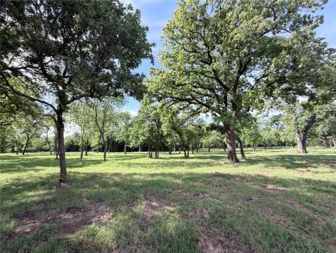 Lot 9 Lakewood Drive Whitney TX 76692