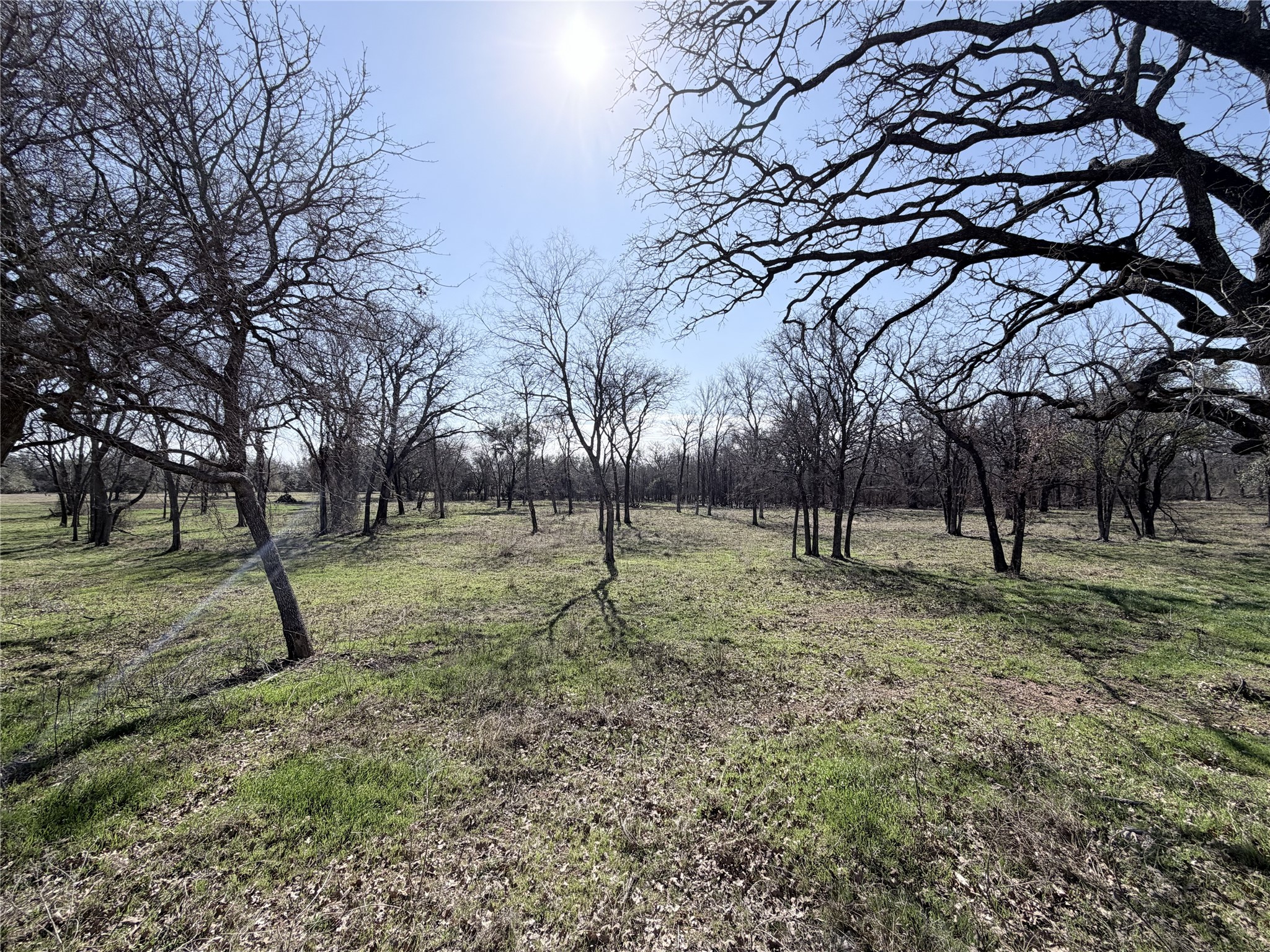 Lot 9 Lakewood Drive Whitney TX 76692