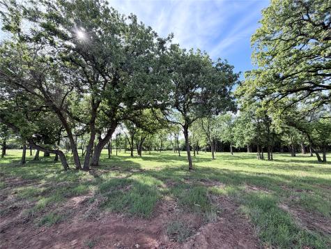 Lot 9 Lakewood Drive Whitney TX 76692
