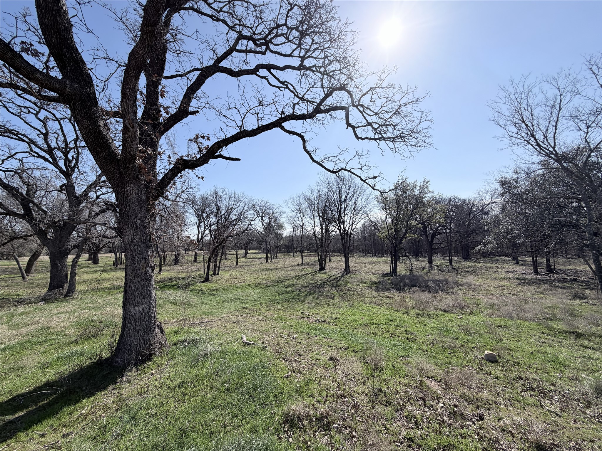 Lot 9 Lakewood Drive Whitney TX 76692