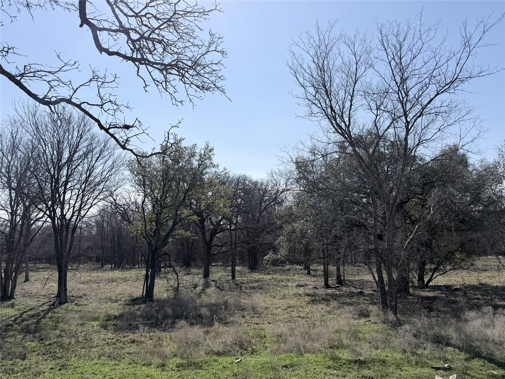 Lot 9 Lakewood Drive Whitney TX 76692