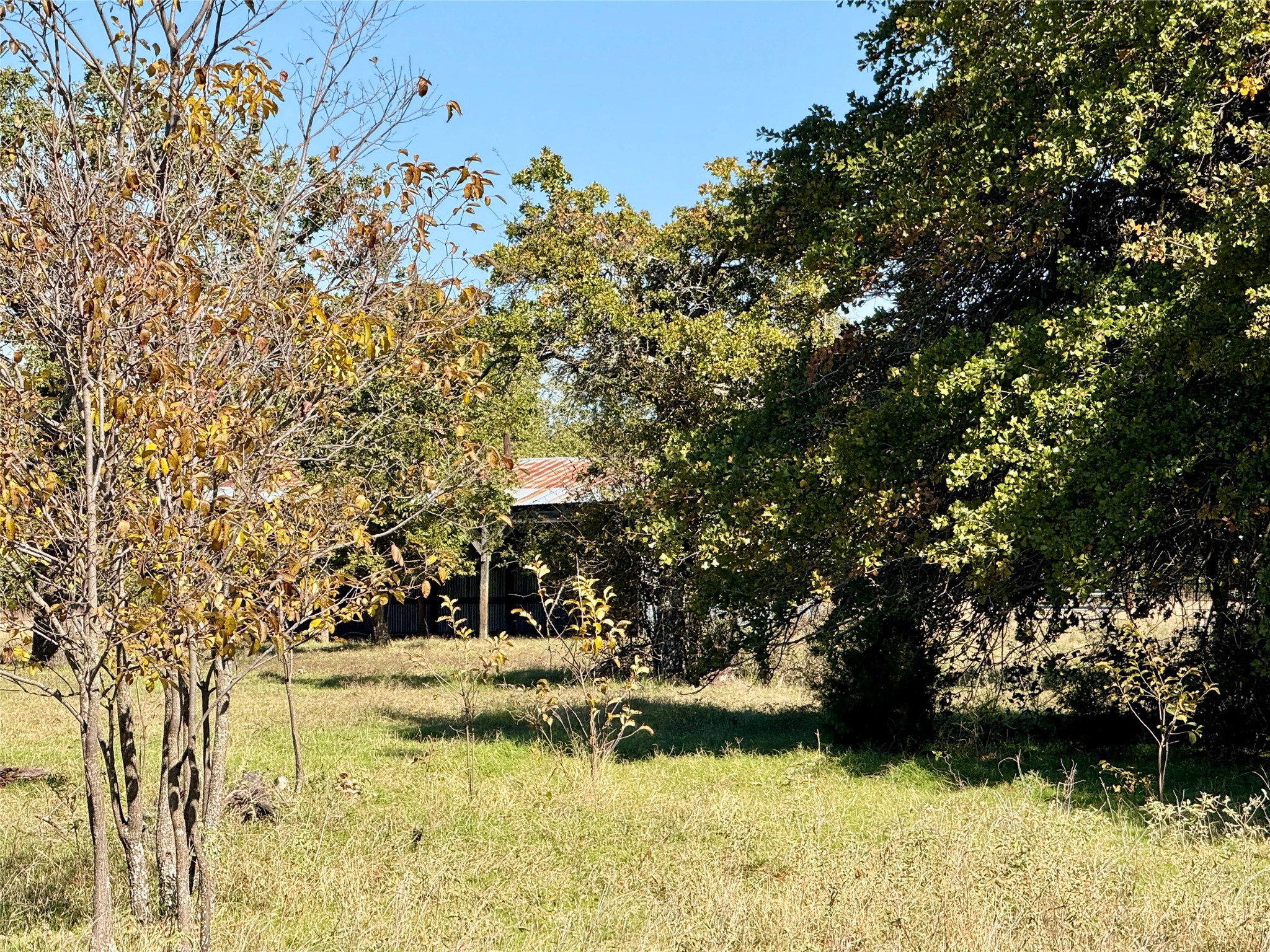 2753 Big Tree Road Montague TX 76251