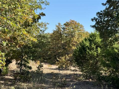 2753 Big Tree Road Montague TX 76251