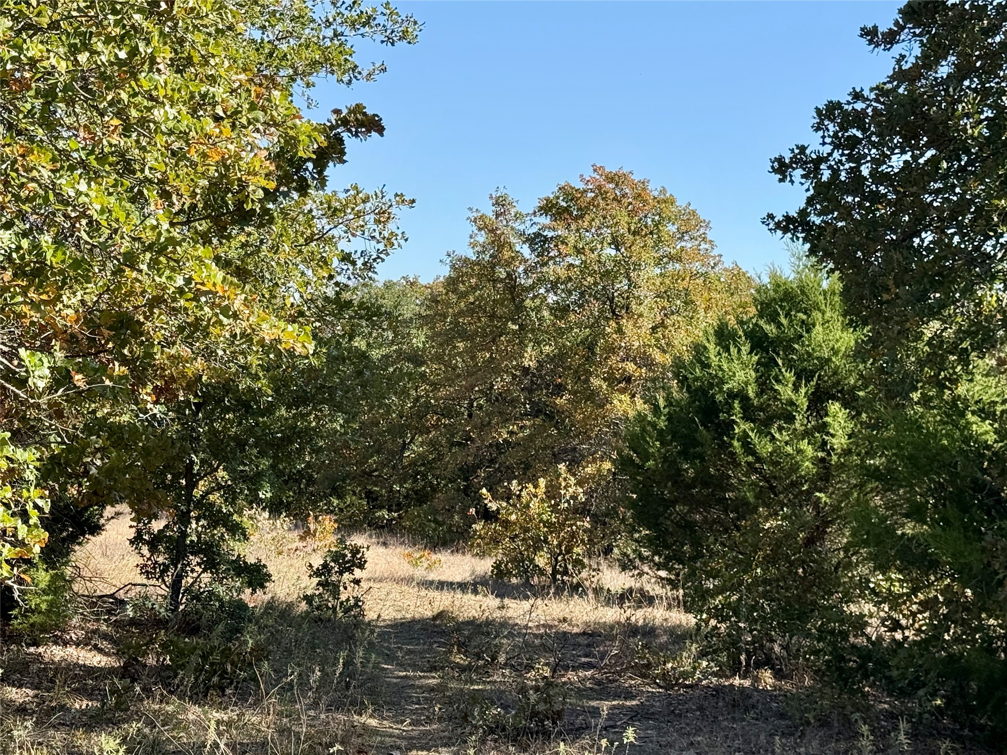 2753 Big Tree Road Montague TX 76251