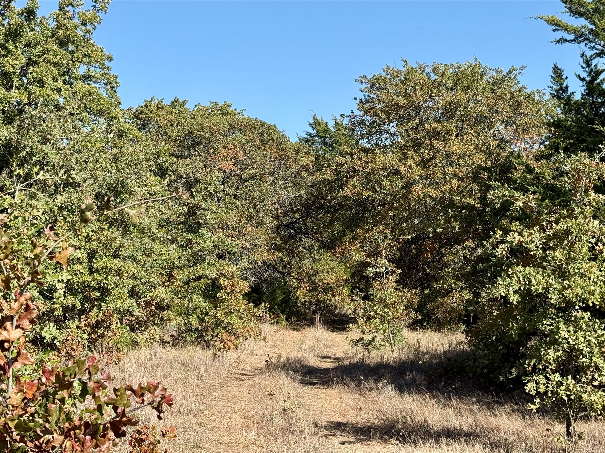 2753 Big Tree Road Montague TX 76251