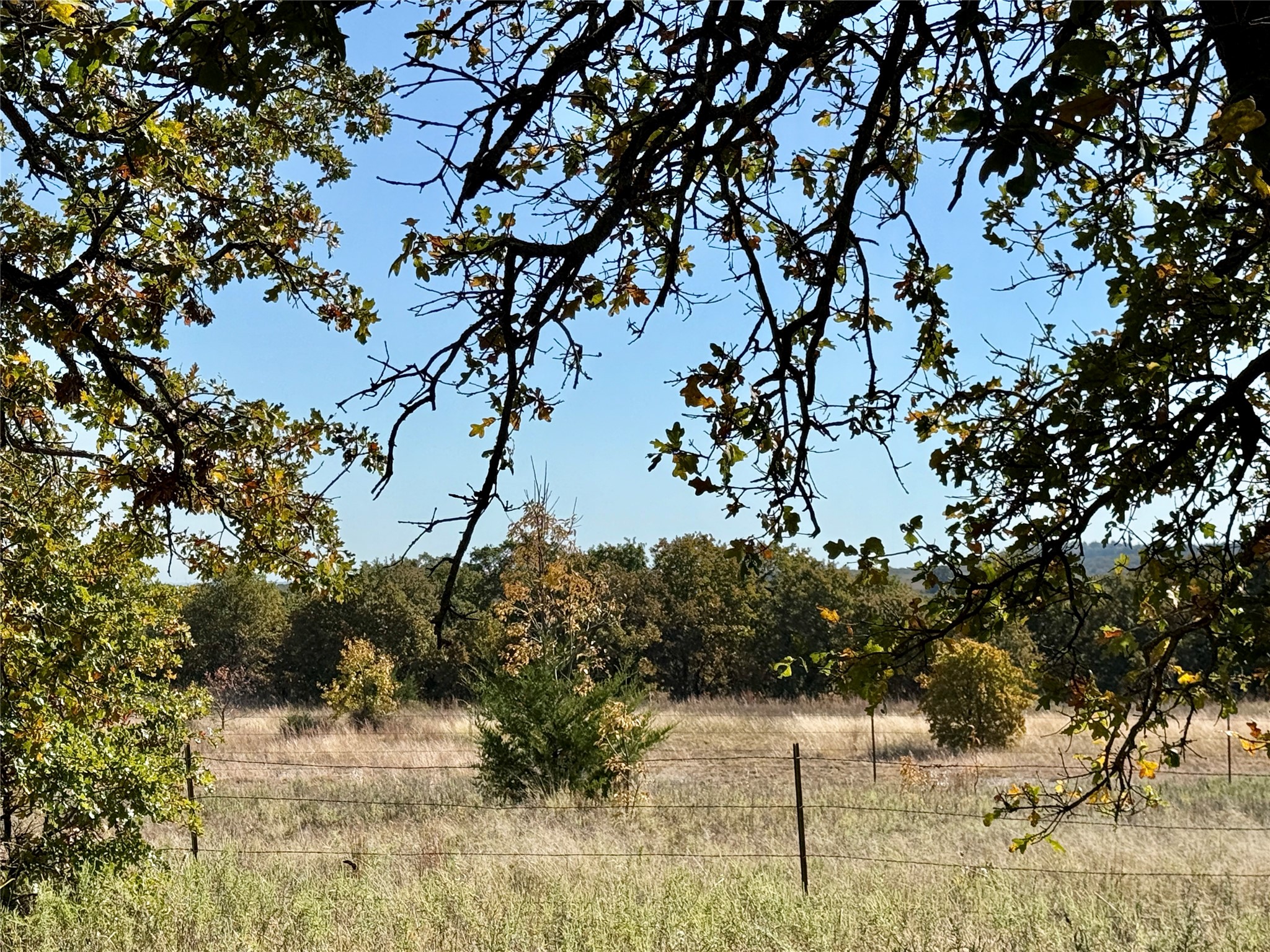 2753 Big Tree Road Montague TX 76251