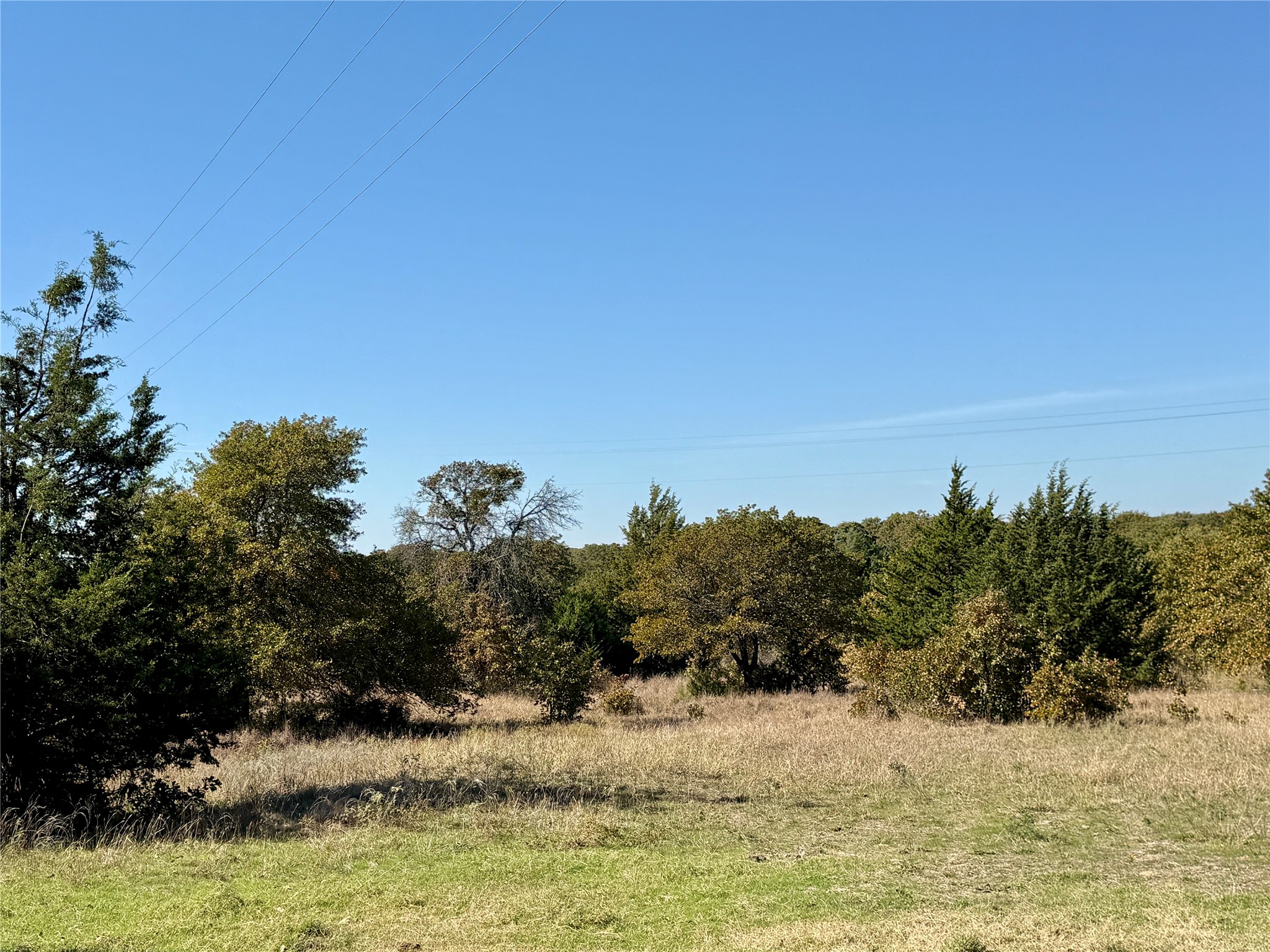 2753 Big Tree Road Montague TX 76251