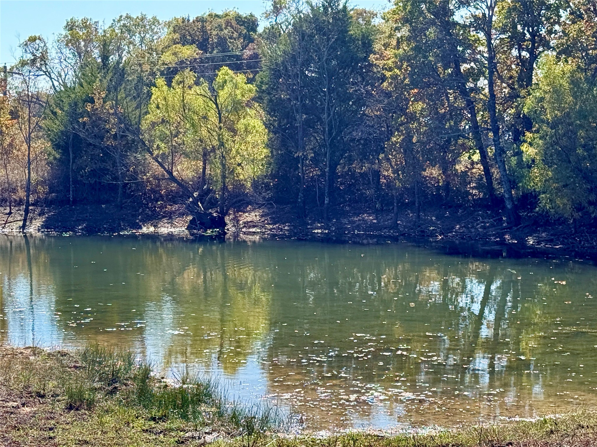 2753 Big Tree Road Montague TX 76251
