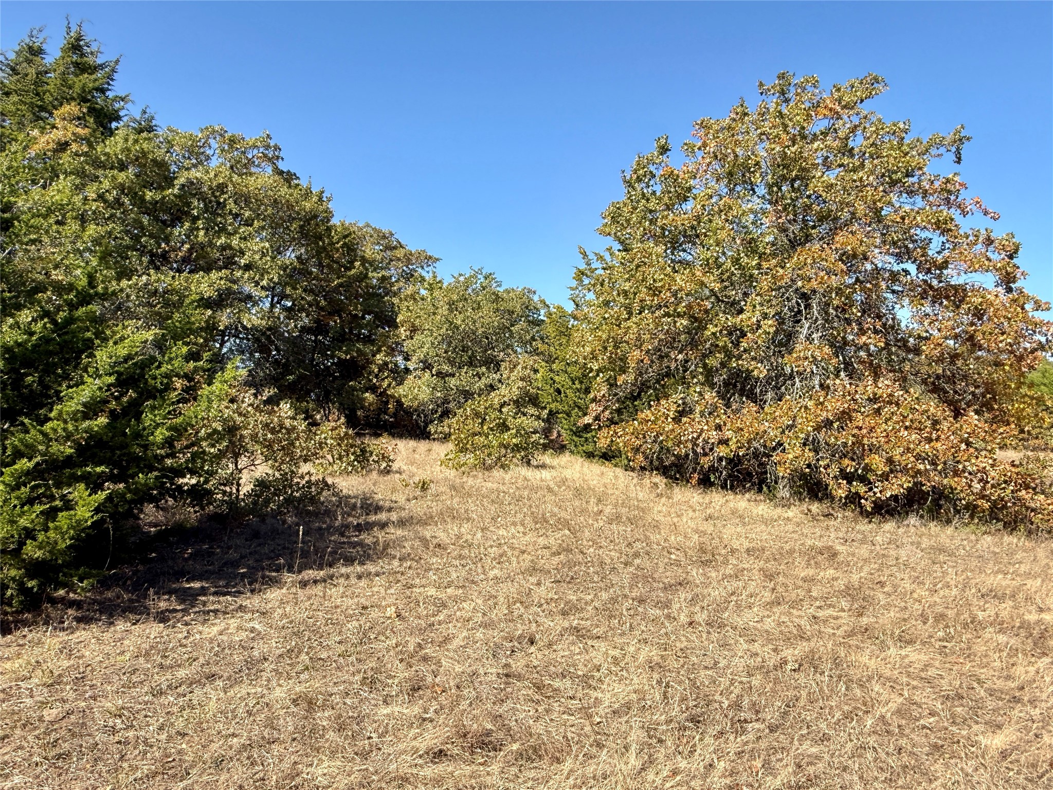 2753 Big Tree Road Montague TX 76251