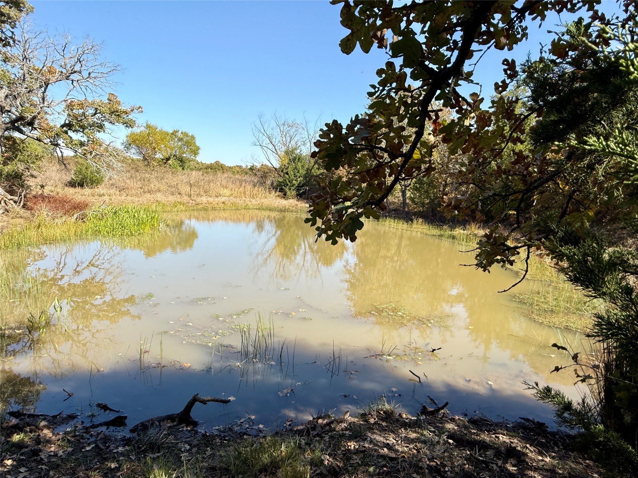 2753 Big Tree Road Montague TX 76251