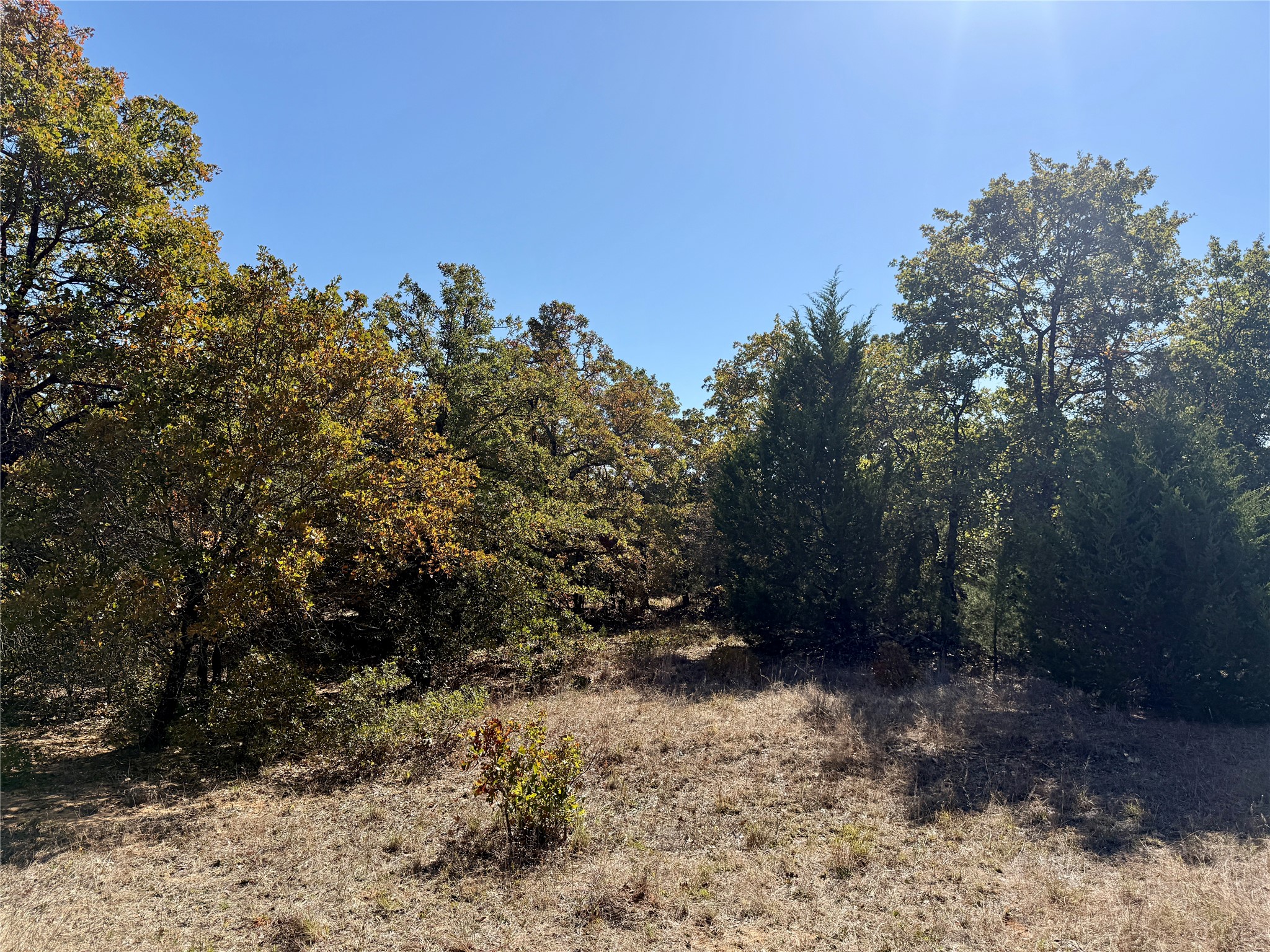 2753 Big Tree Road Montague TX 76251