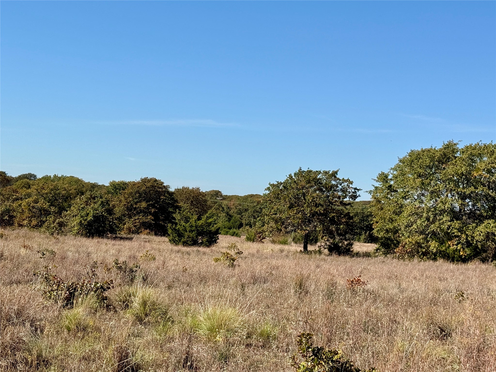 2753 Big Tree Road Montague TX 76251
