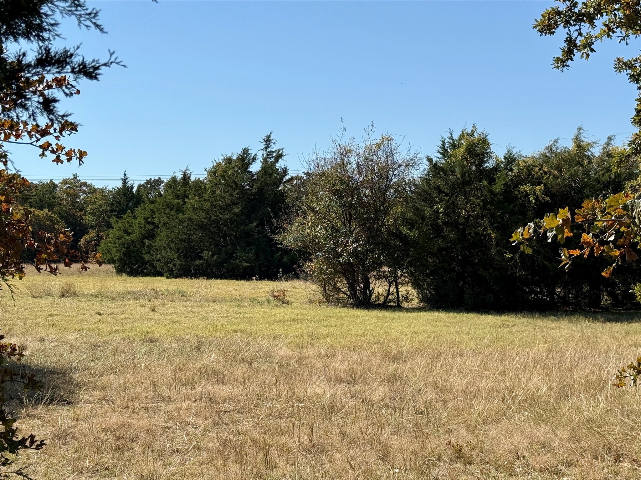 2753 Big Tree Road Montague TX 76251