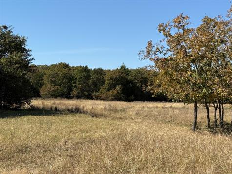 2753 Big Tree Road Montague TX 76251