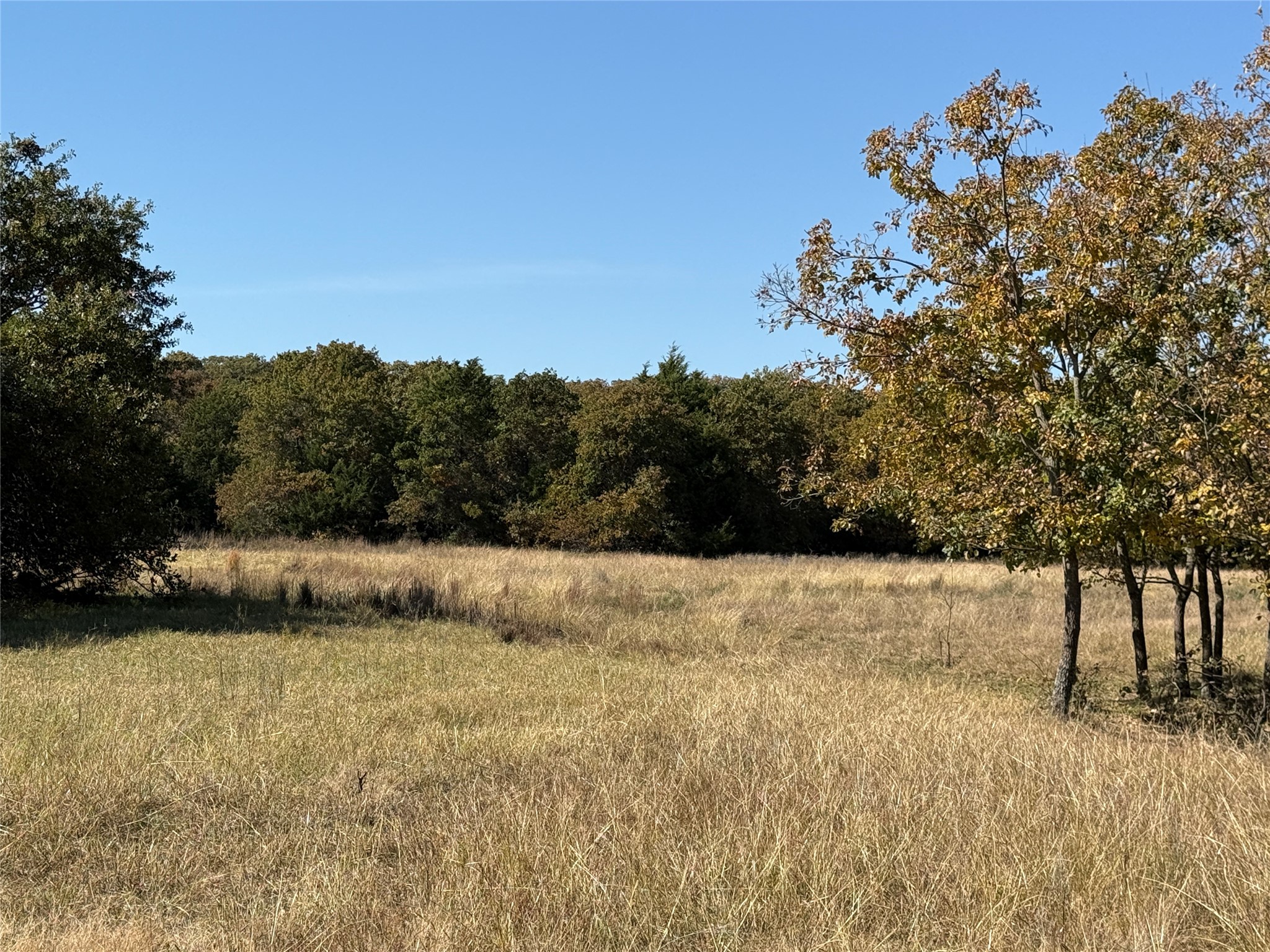 2753 Big Tree Road Montague TX 76251