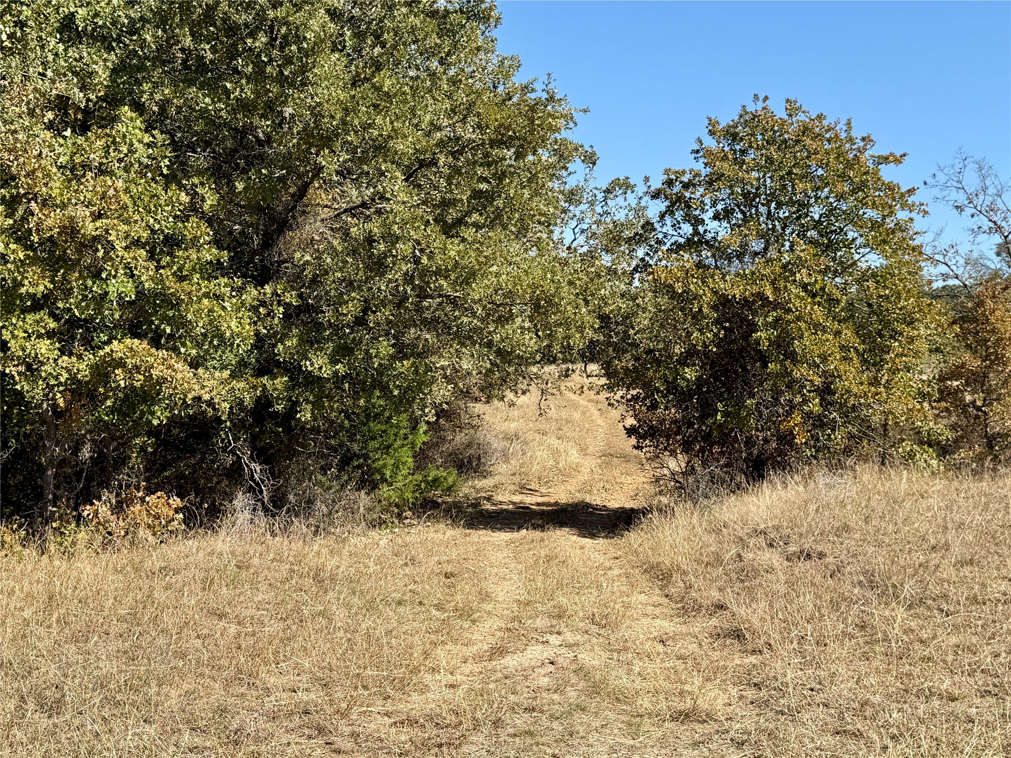 2753 Big Tree Road Montague TX 76251