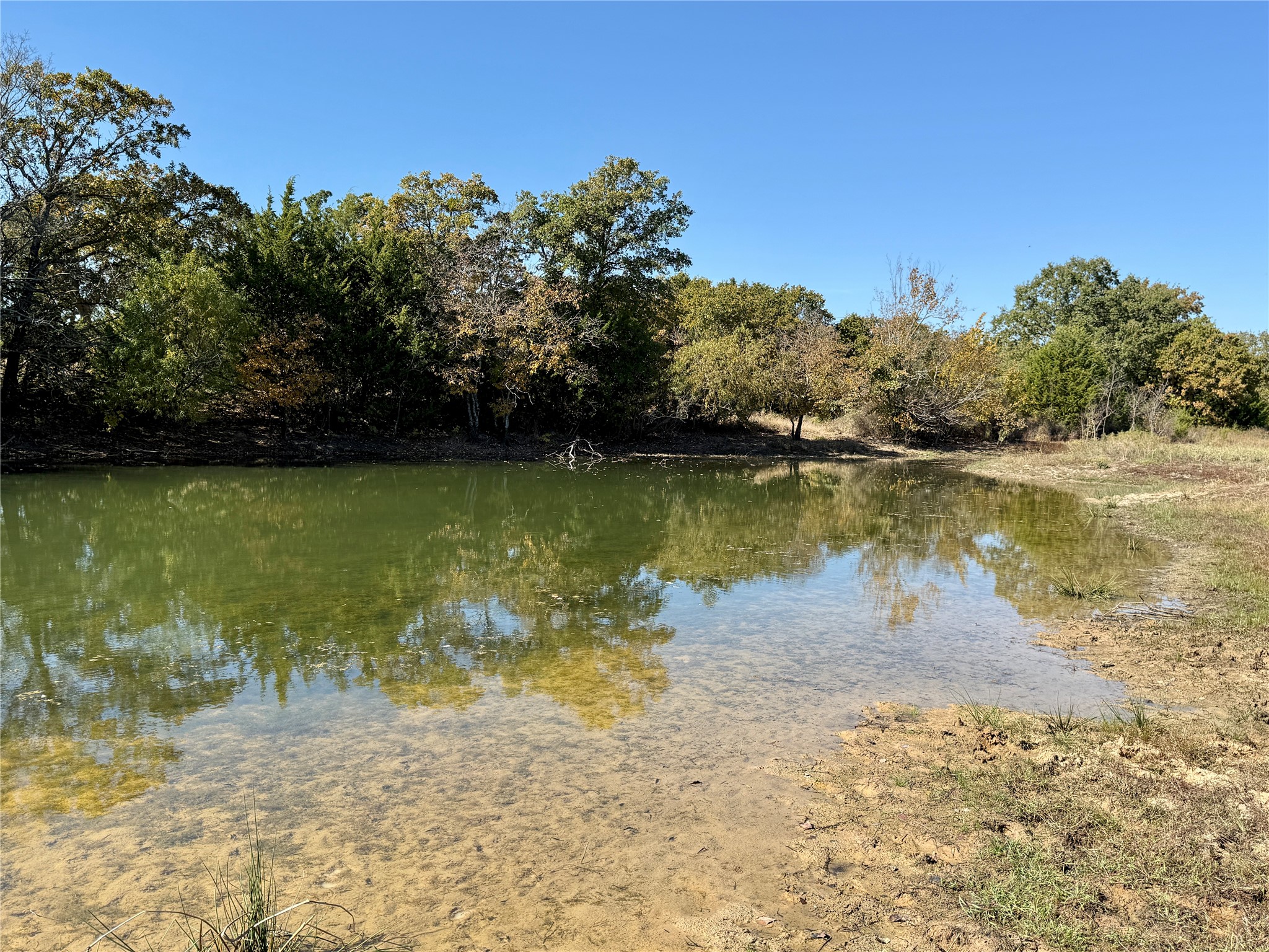 2753 Big Tree Road Montague TX 76251
