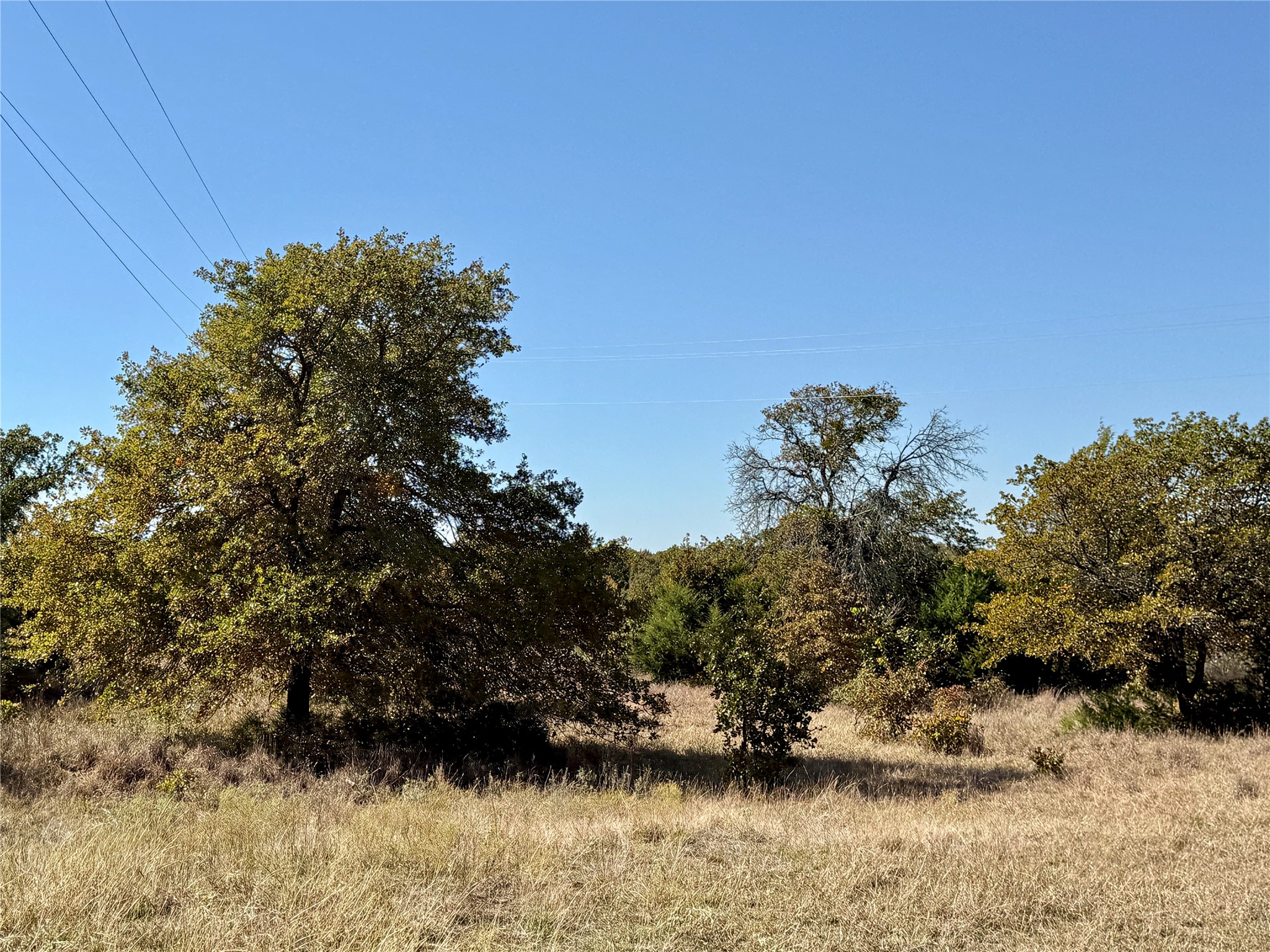 2753 Big Tree Road Montague TX 76251