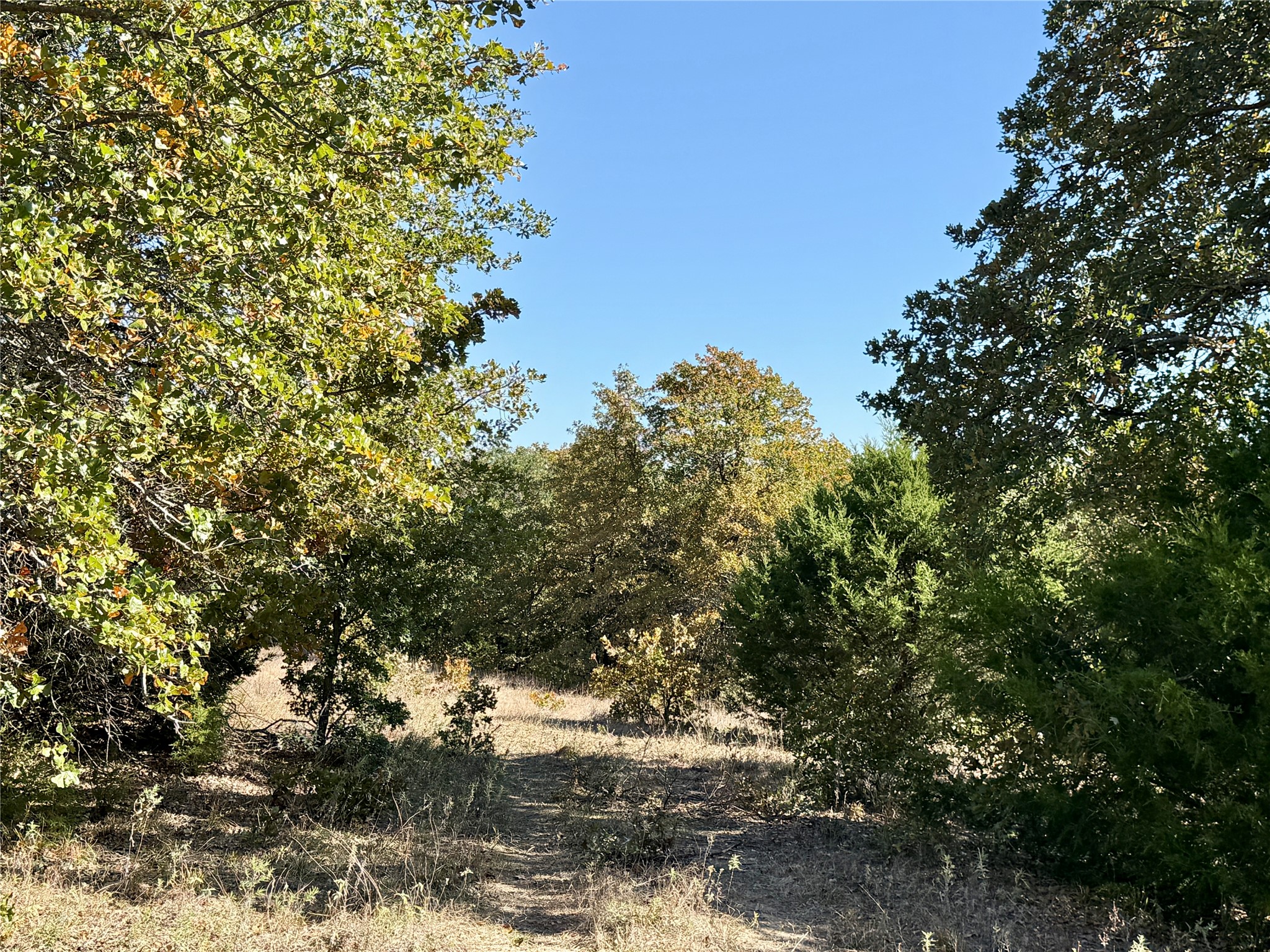2753 Big Tree Road Montague TX 76251
