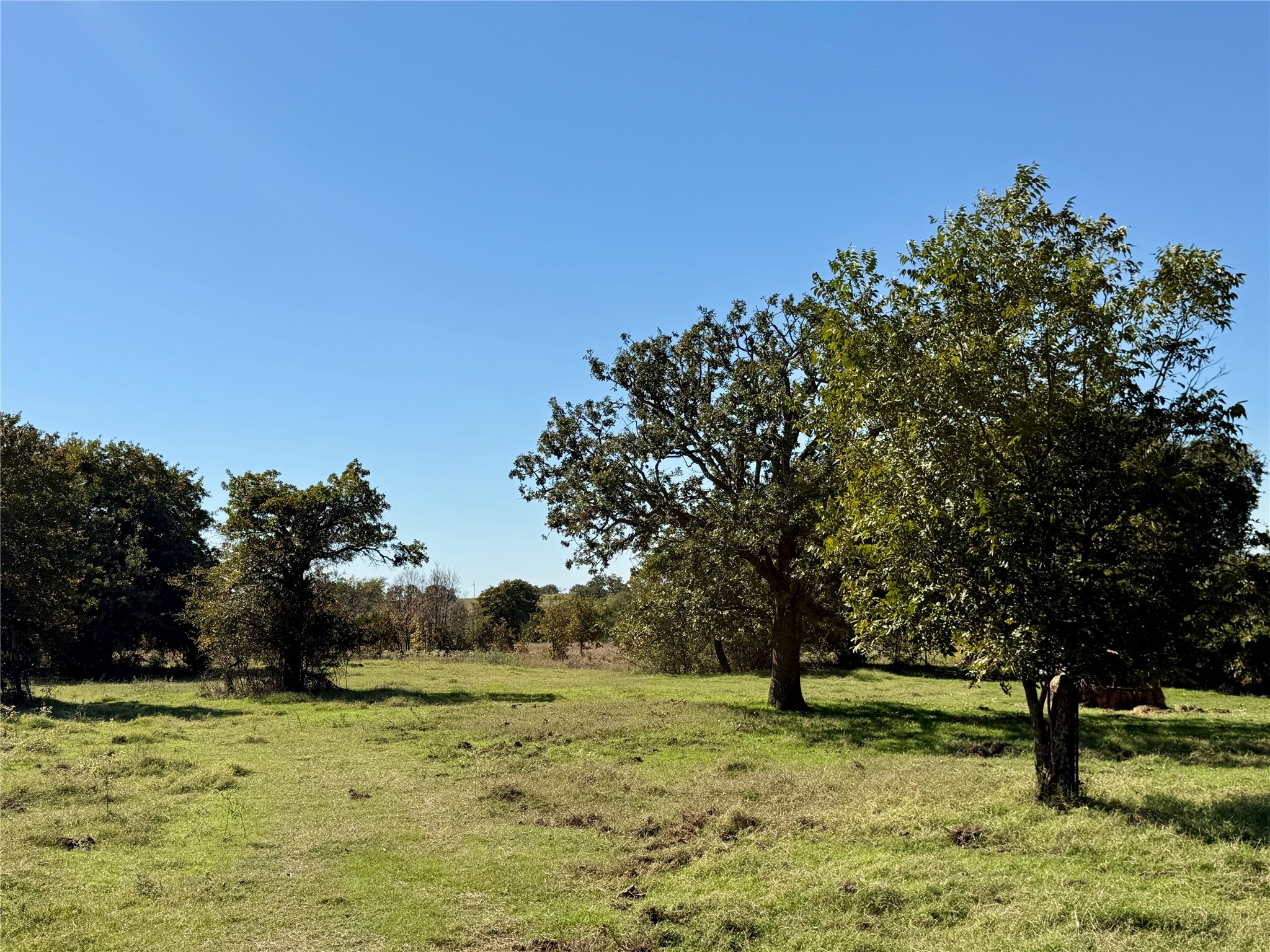 2753 Big Tree Road Montague TX 76251