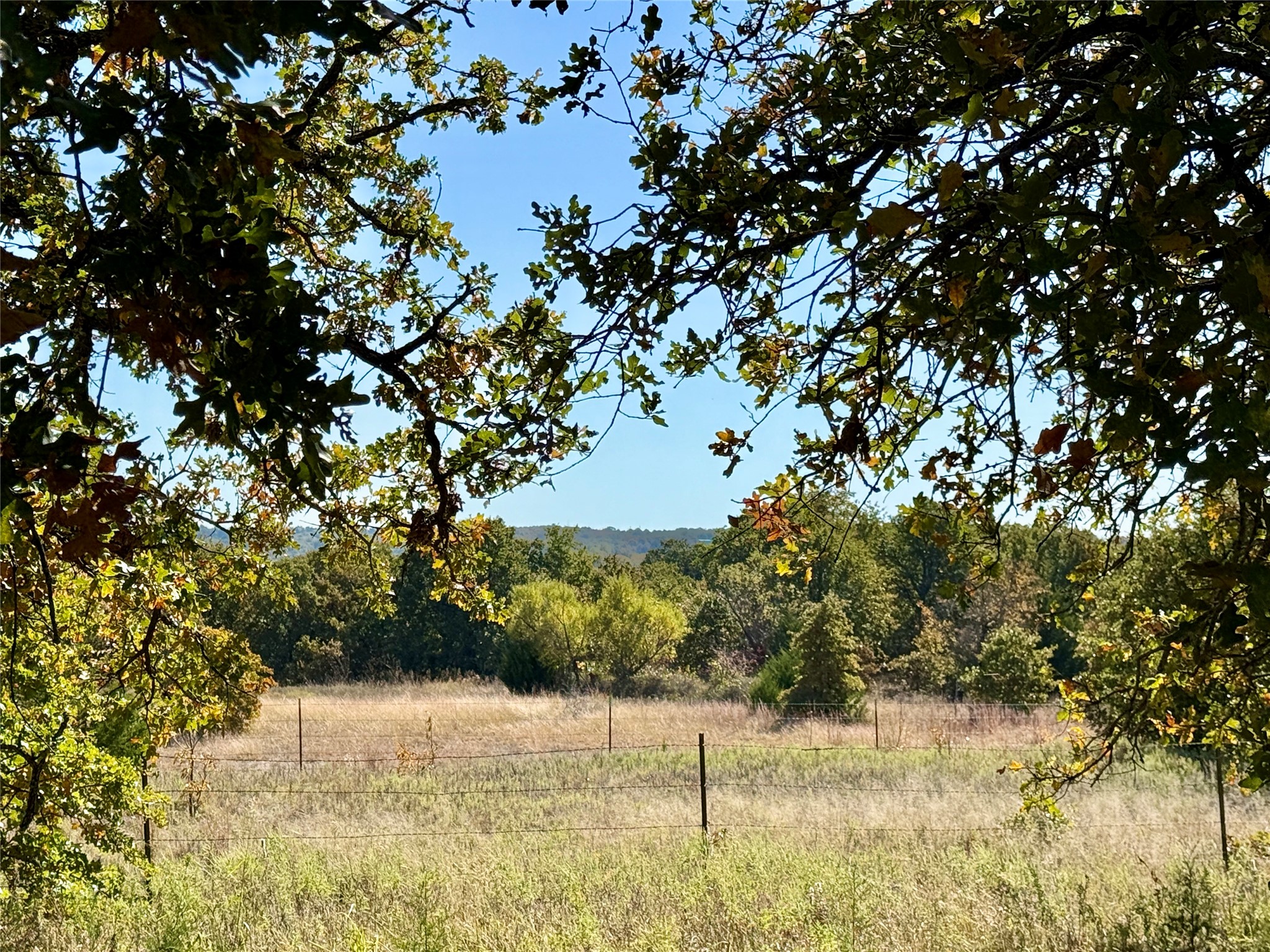 2753 Big Tree Road Montague TX 76251